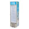 Refrigerador Vitrina Comercial James Vc-315 287l Eh Tg