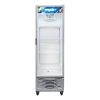 Vitrina Expositor Vertical Briket Argentina 417 Lts. - Imagen 2